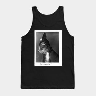 Brunnhilde the Viking Cat in Helmet and Shield Tank Top